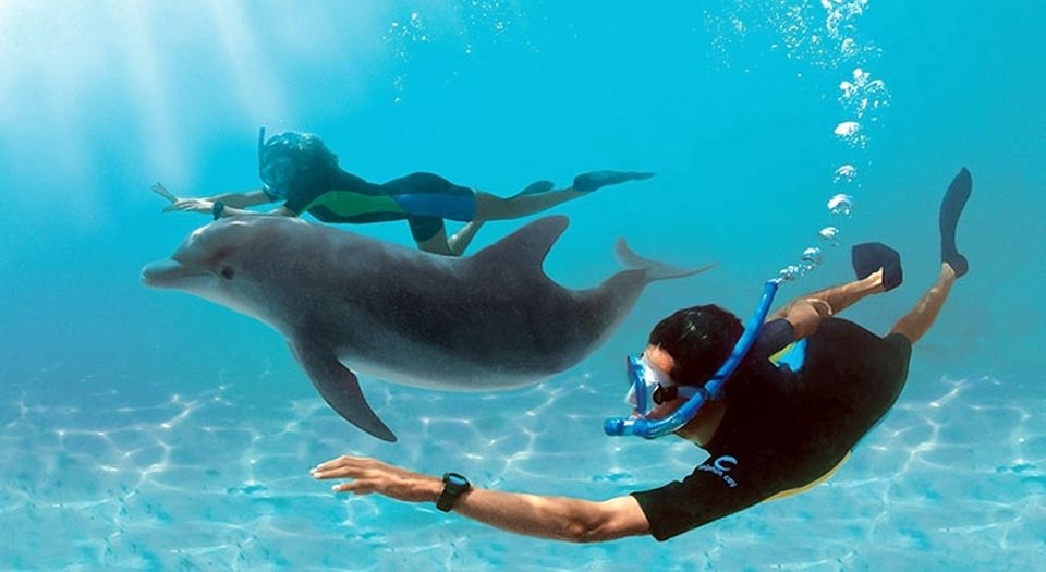 Dolphin House Hurghada 5