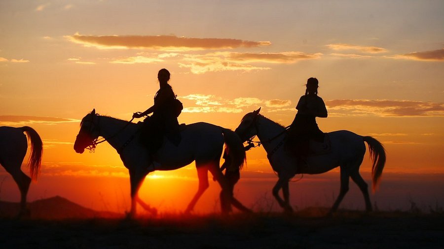 Sunset On Horse Back